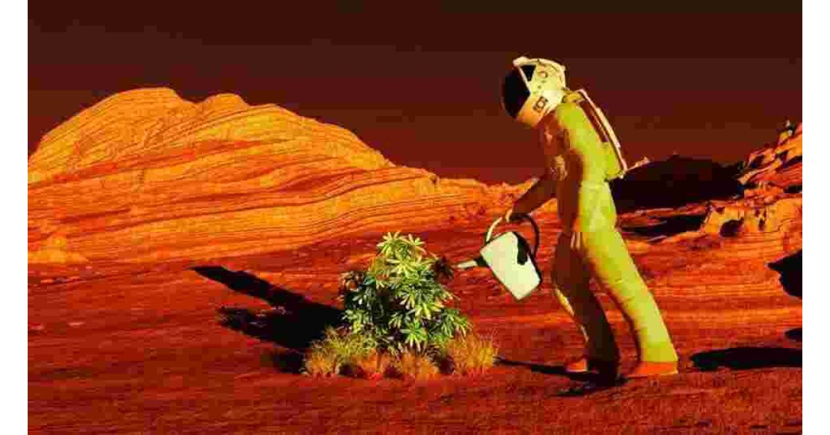 Scientists Announce Which Plant Should Be Grown First on Mars!