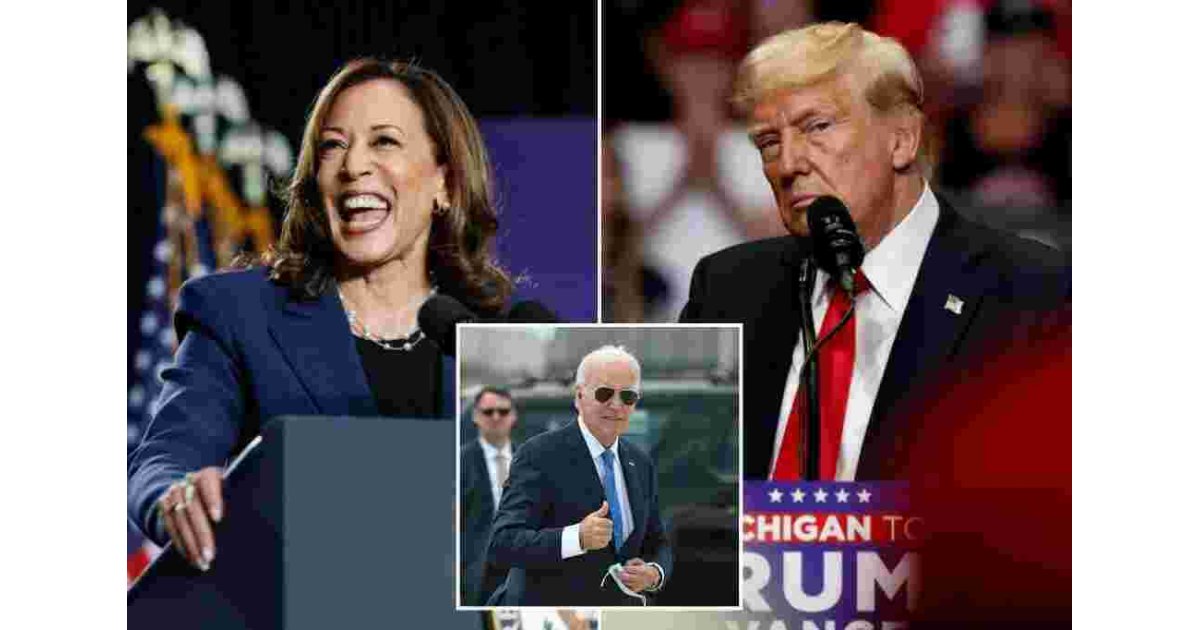 Battleground Georgia’s a toss-up in fresh survey of new Trump-Harris race -- taken after Biden dropped out 