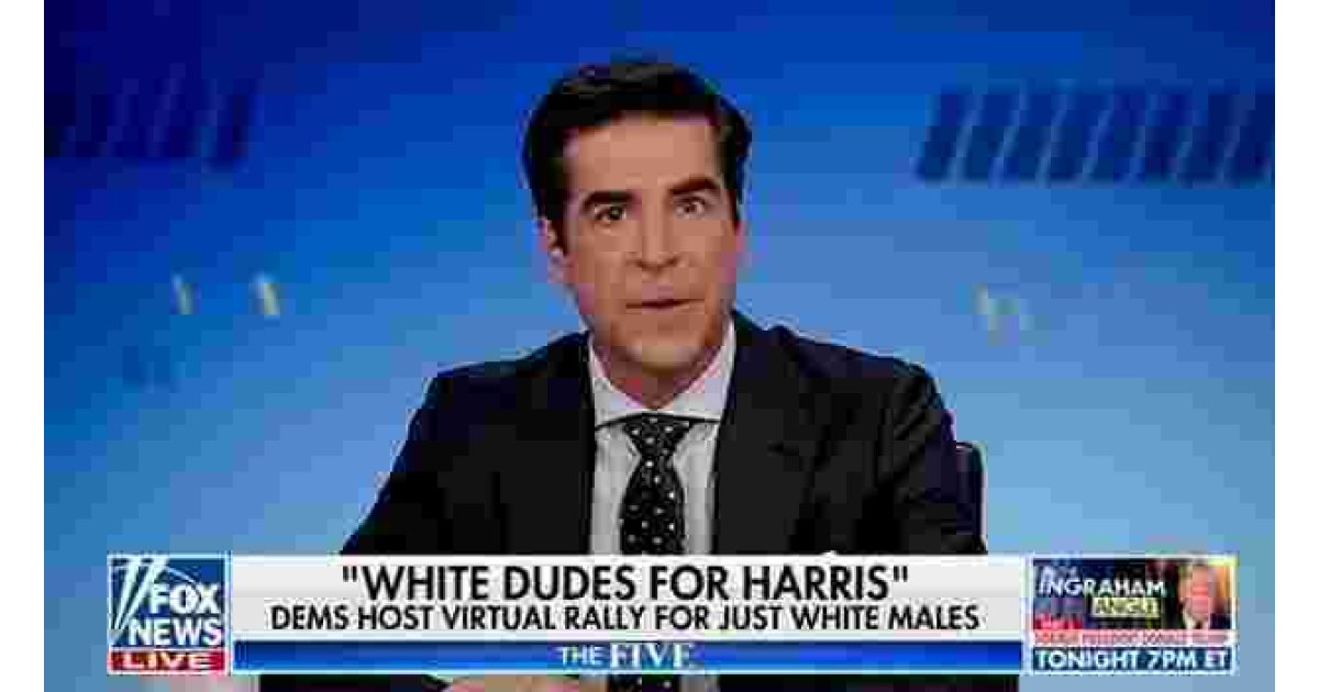Fox Panel Loses Their Minds Over ‘White Dudes for Harris’ Fundraising Call