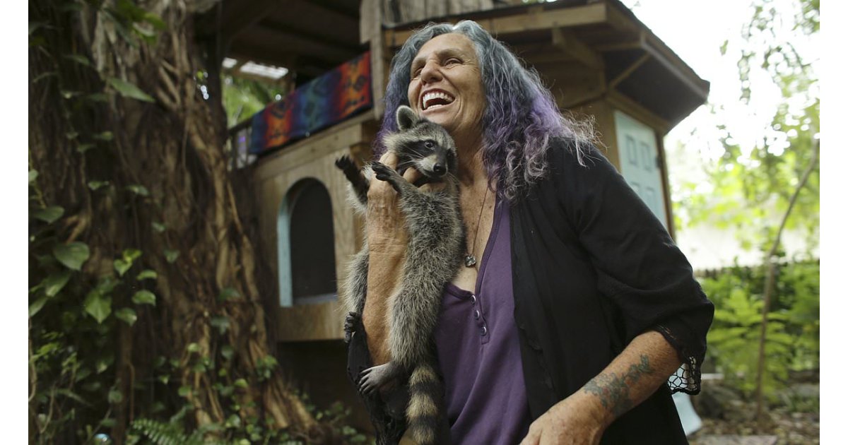 Florida grandmother is ordered to tear down her Miami treehouse she has lived in for 17 YEARS after $40k of fi 