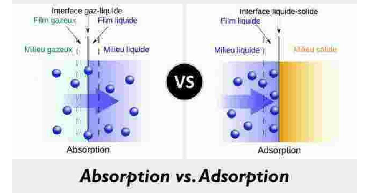 Absorption Meaning and Definition