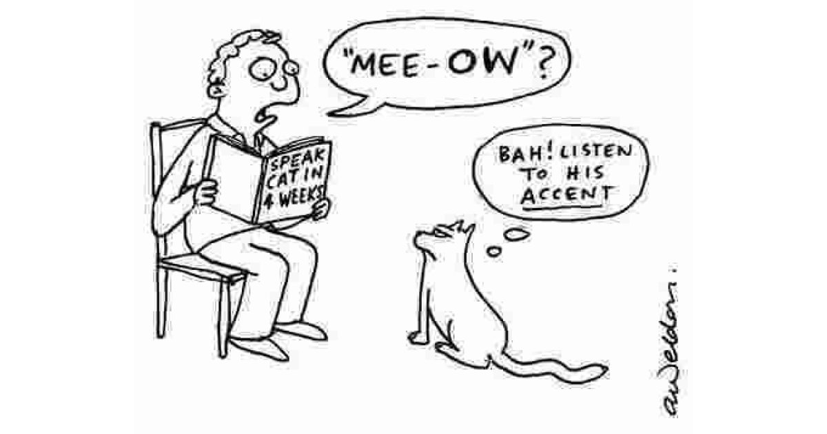 Accent Meaning and Definition