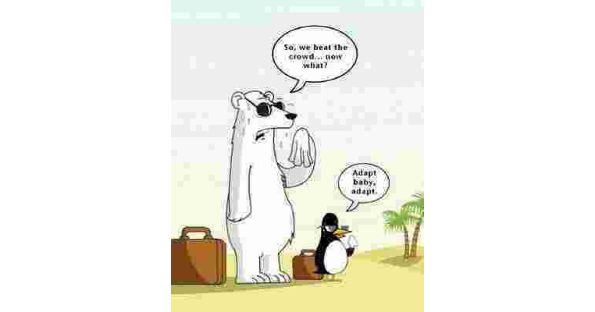 Adapt Meaning and Definition