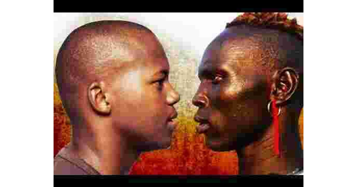 African Meaning and Definition