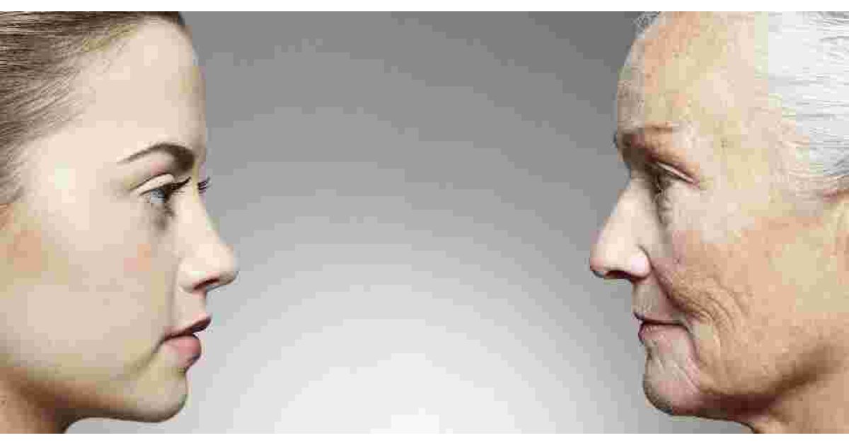 Ageing Meaning and Definition