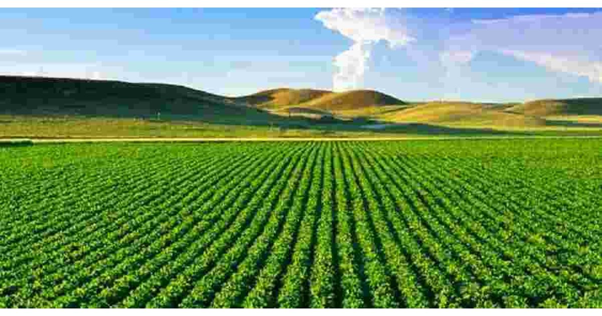 Agriculture Meaning and Definition
