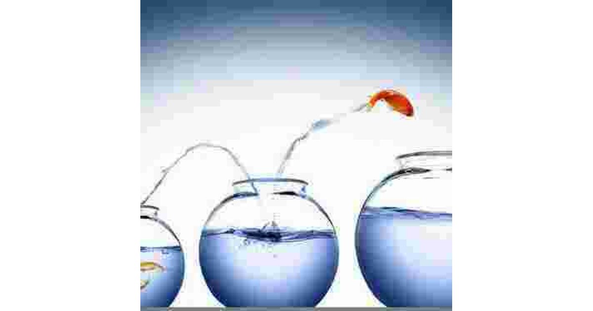 Ambitious Meaning and Definition