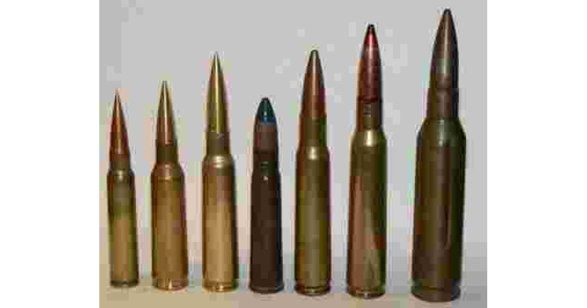 Ammunition Meaning and Definition