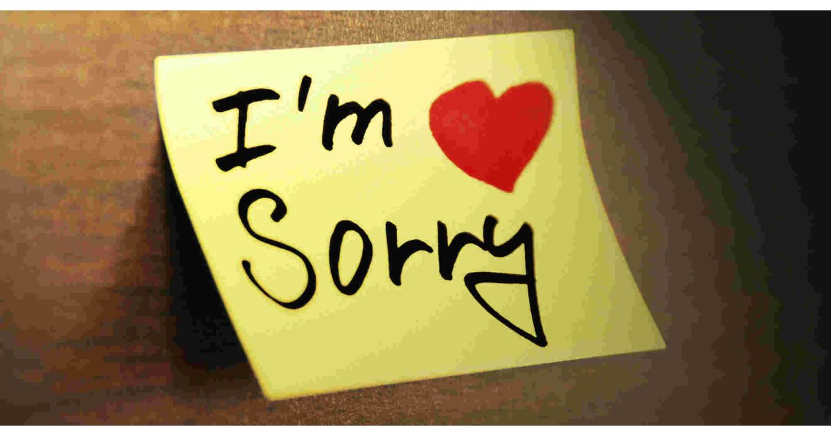 Apologize Meaning and Definition