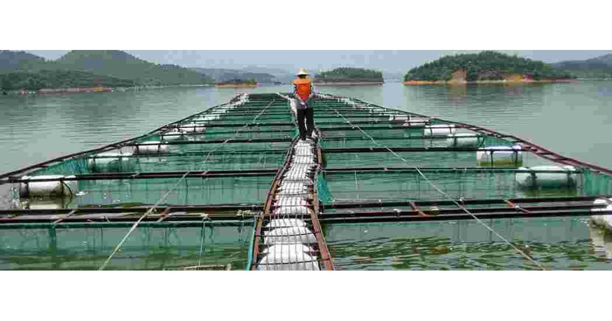 Aquaculture Meaning and Definition