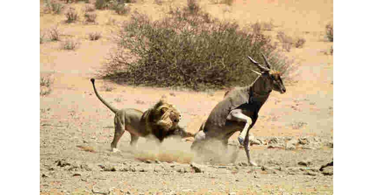 Attack Meaning and Definition