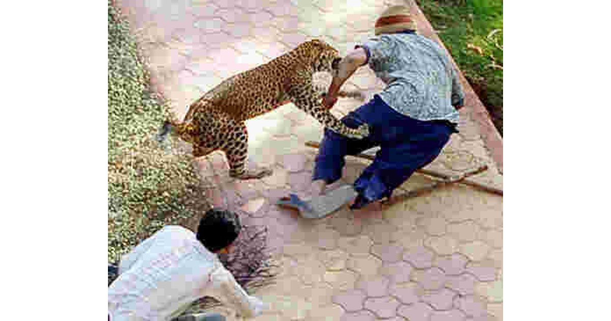 Attacking Meaning and Definition