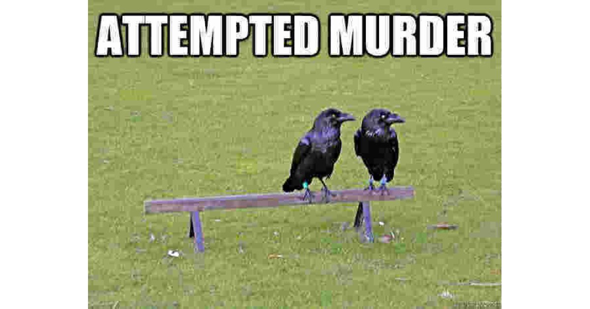 Attempted Meaning and Definition