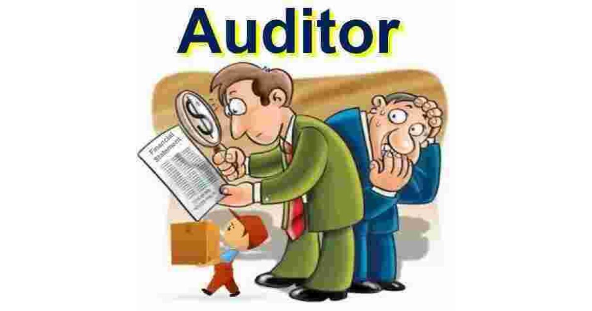 Auditor Meaning and Definition