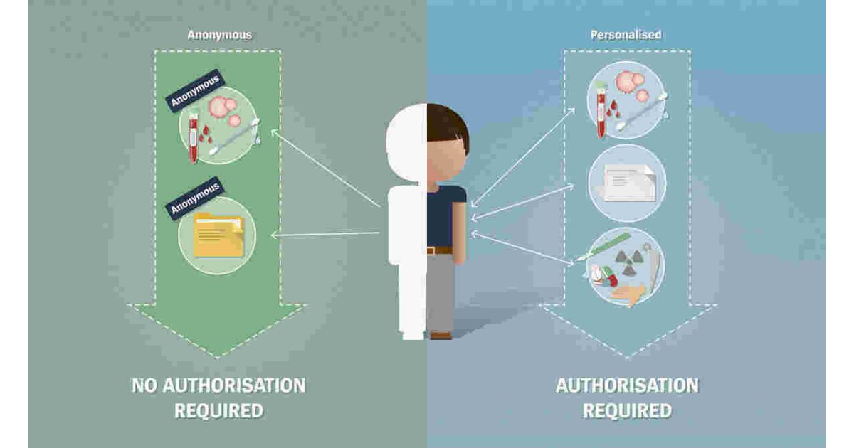 Authorisation Meaning and Definition