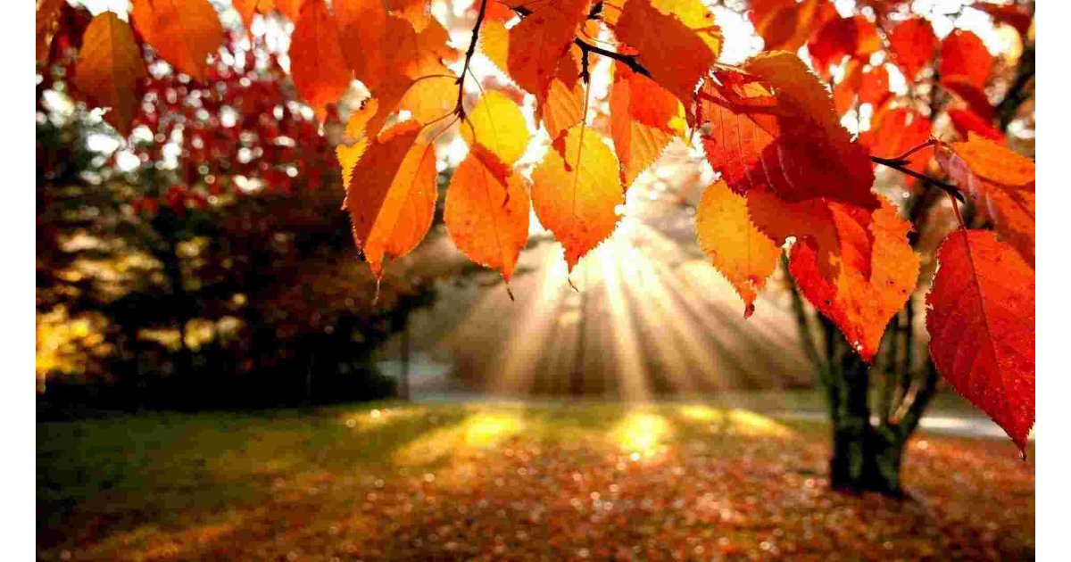 Autumn Meaning and Definition