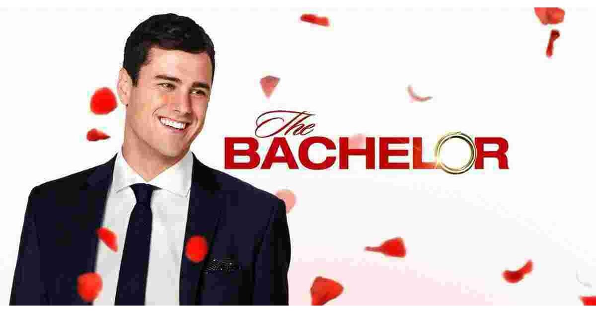 Bachelor Meaning and Definition