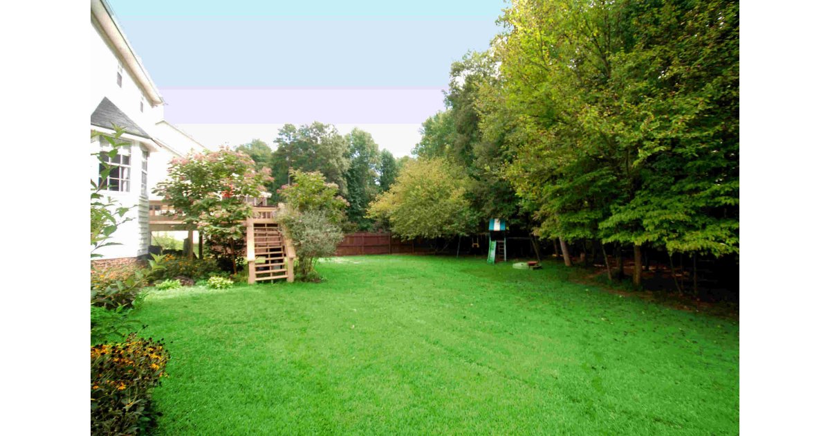 Backyard Meaning and Definition