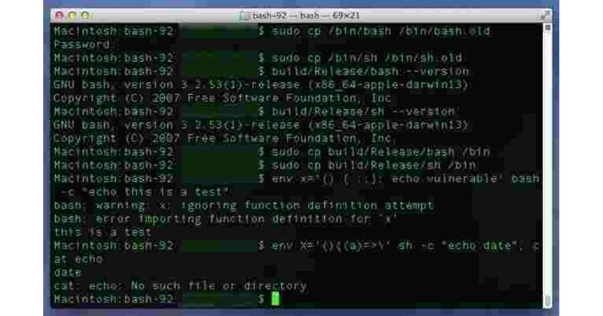 Bash Meaning and Definition