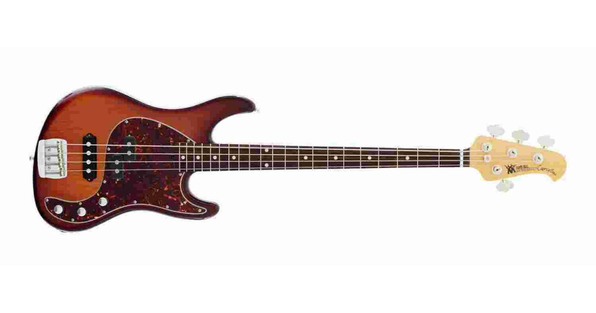 Bass Meaning and Definition