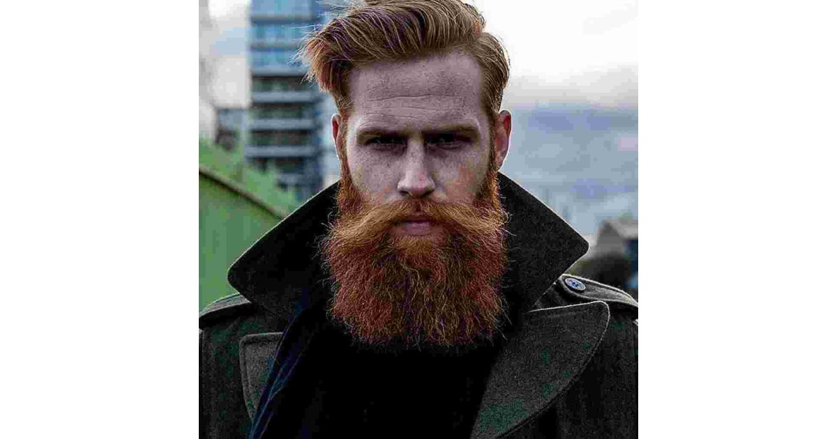 Beard Meaning and Definition