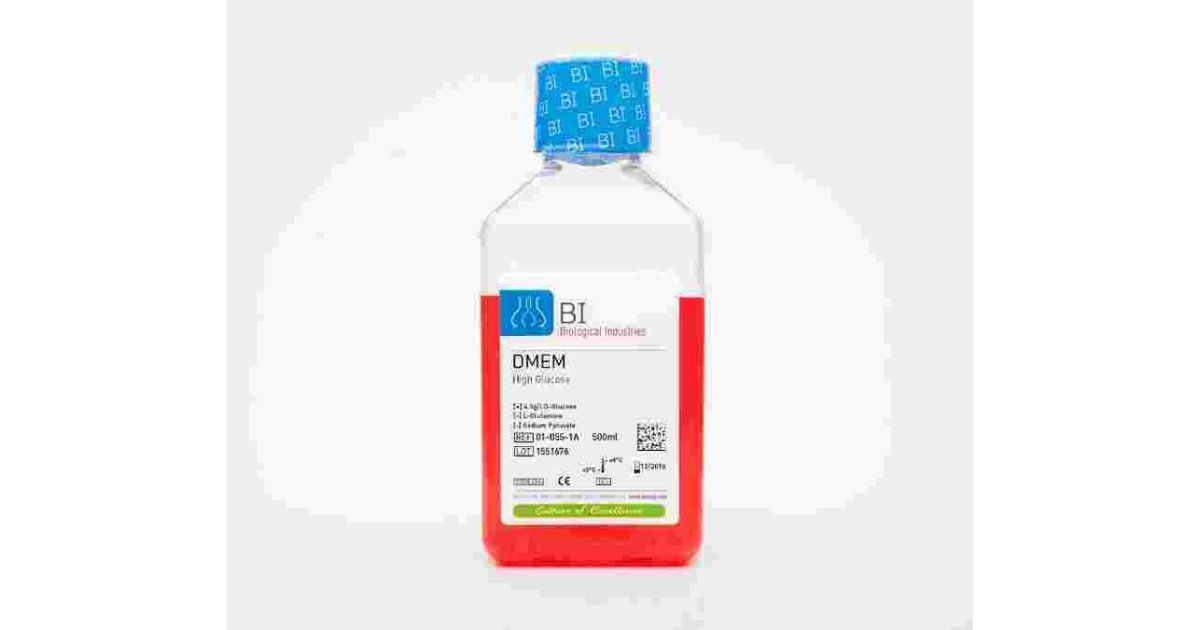 Biological Meaning and Definition