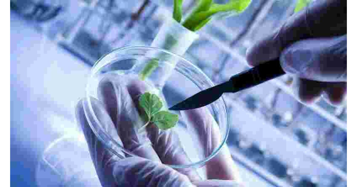 Biotechnology Meaning and Definition