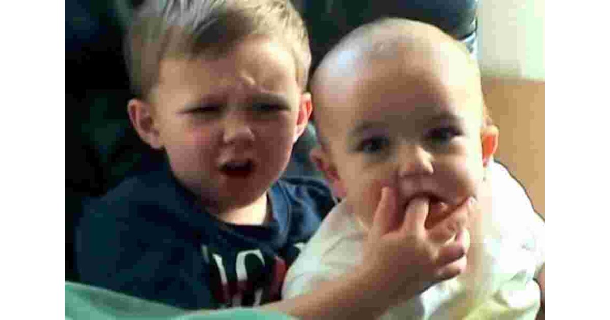 Bite Meaning and Definition