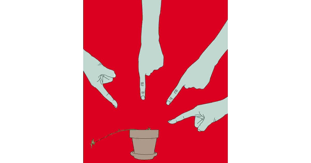 Blamed Meaning and Definition