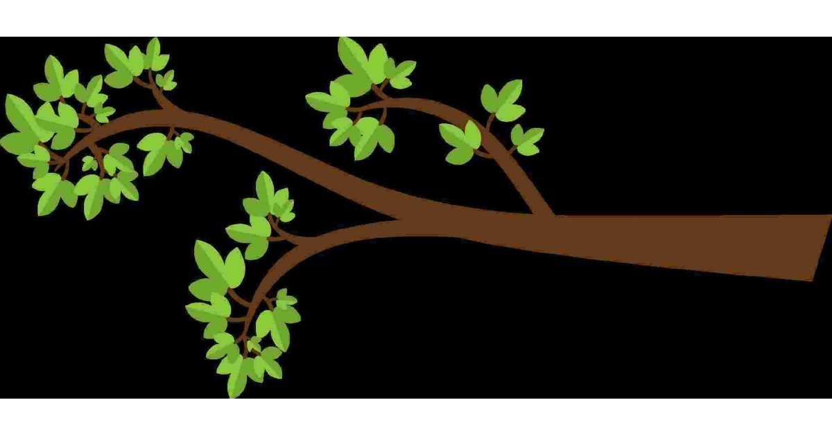 Branch Meaning and Definition