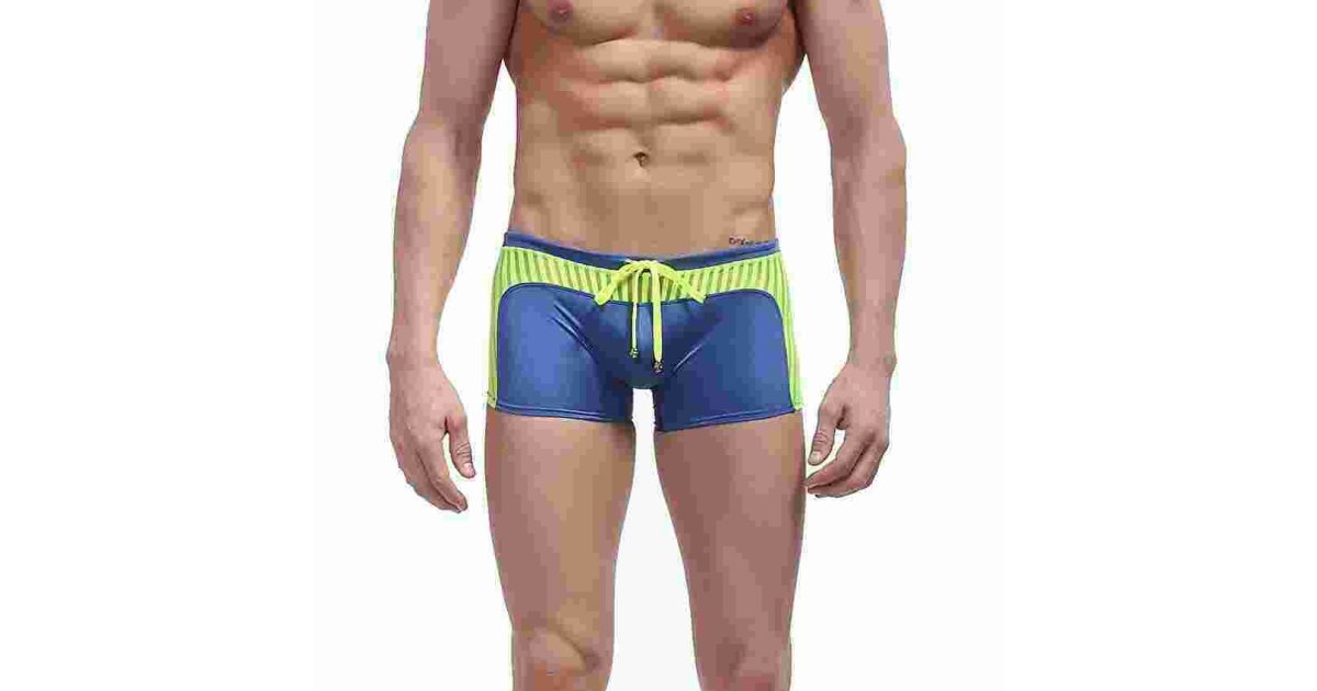 Briefs Meaning and Definition