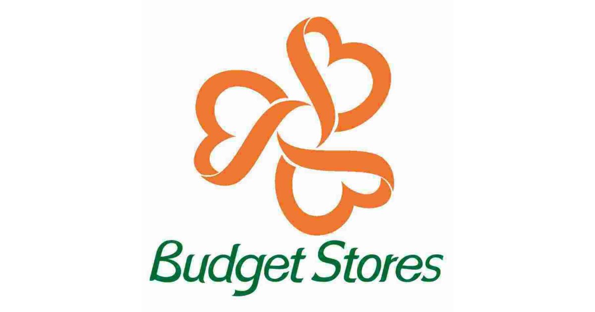 Budget Meaning and Definition