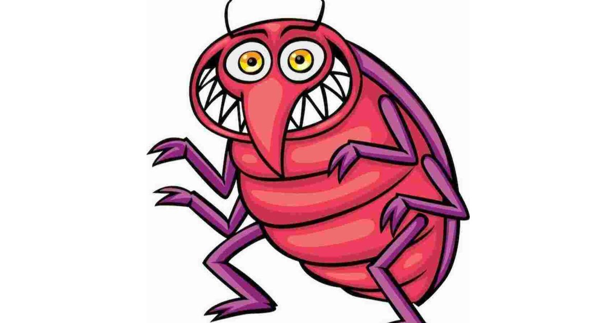 Bug Meaning and Definition