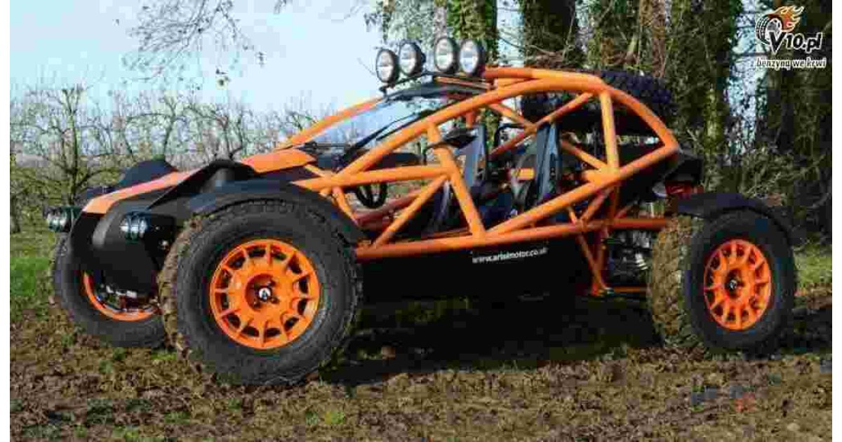 Buggy Meaning and Definition