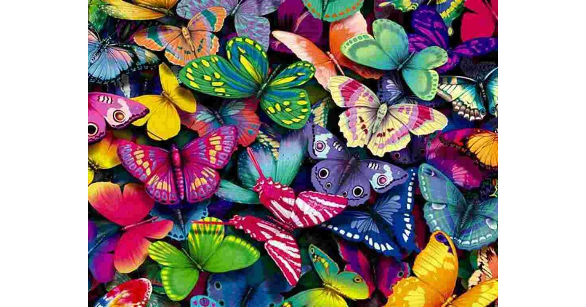 Butterfly Meaning and Definition