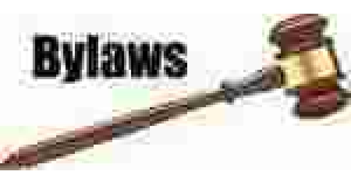 Bylaws Meaning and Definition