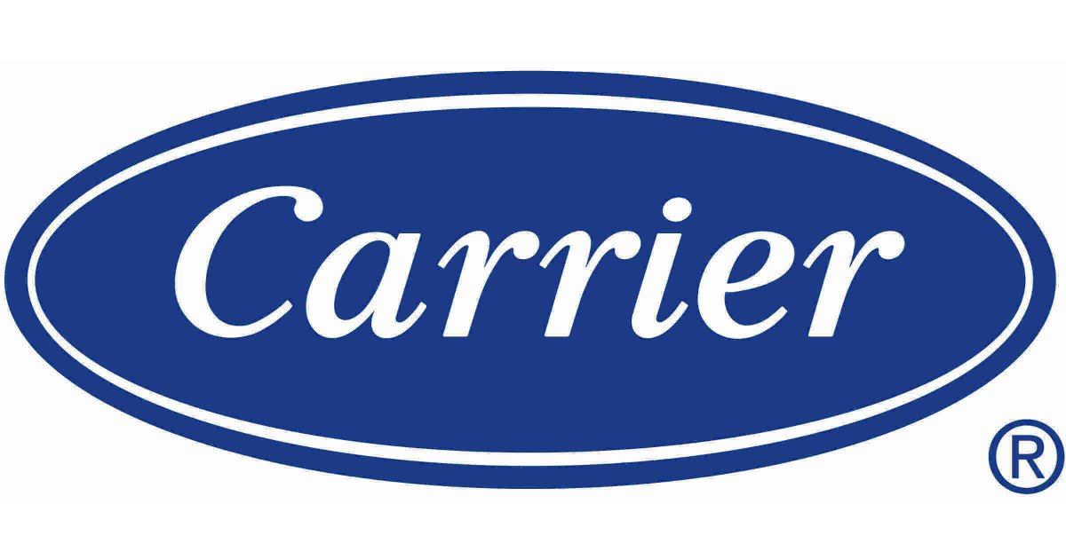 Carrier Meaning and Definition