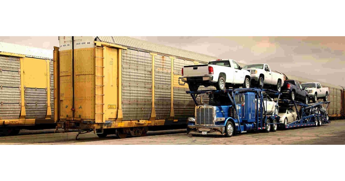 Carriers Meaning and Definition