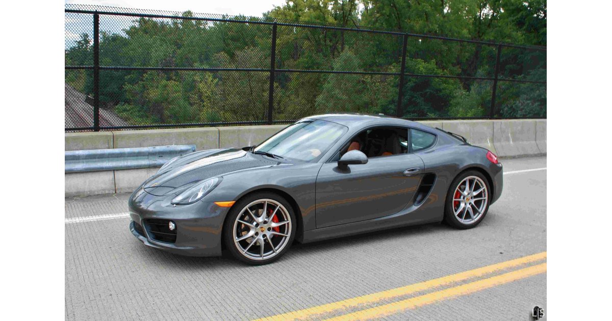 Cayman Meaning and Definition