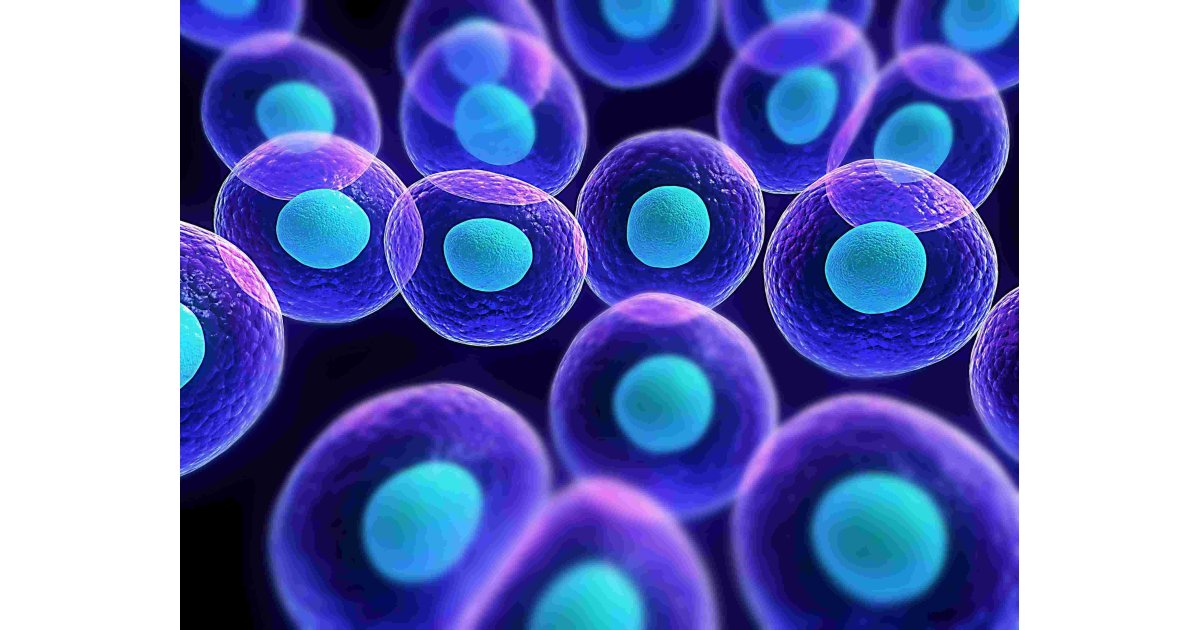 Cells Meaning and Definition
