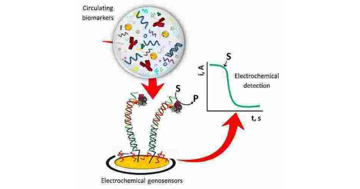 Circulating Meaning and Definition