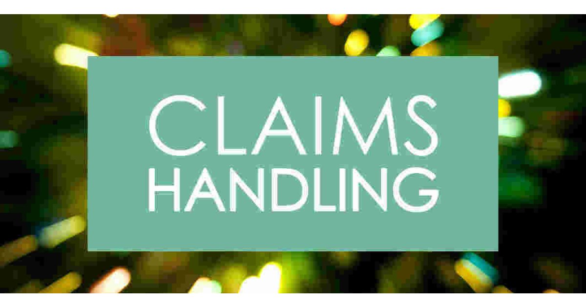 Claims Meaning and Definition