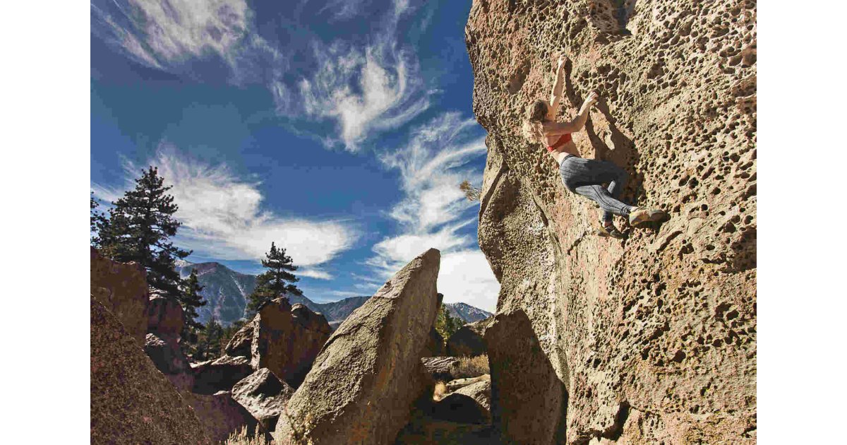 Climbed Meaning and Definition