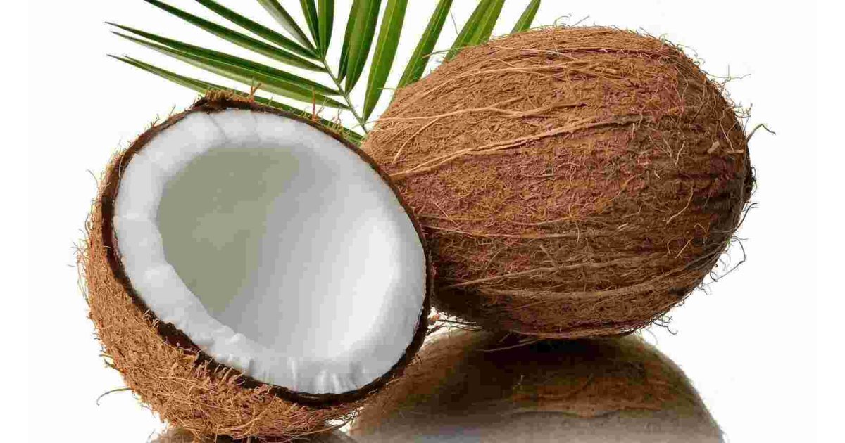 Coconut Meaning and Definition