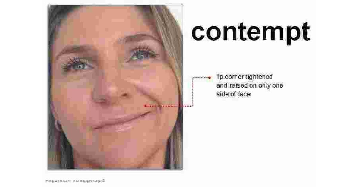 Contempt Meaning and Definition