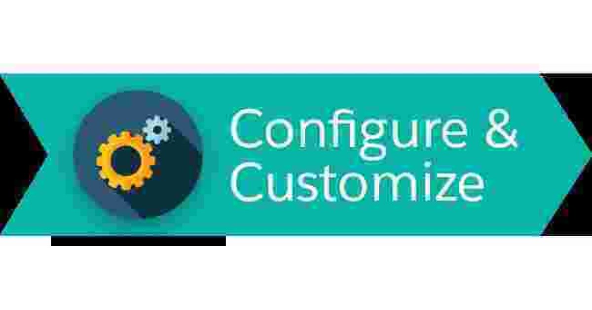 Customize Meaning and Definition