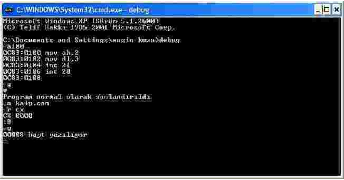 Debug Meaning and Definition