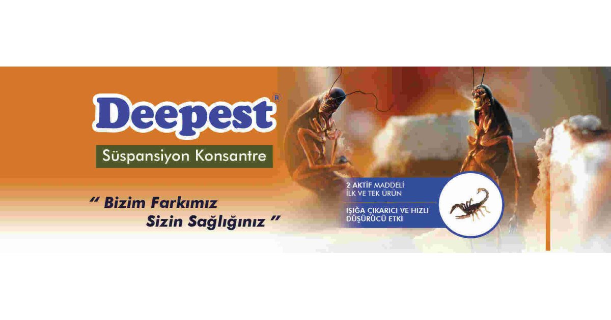 Deepest Meaning and Definition