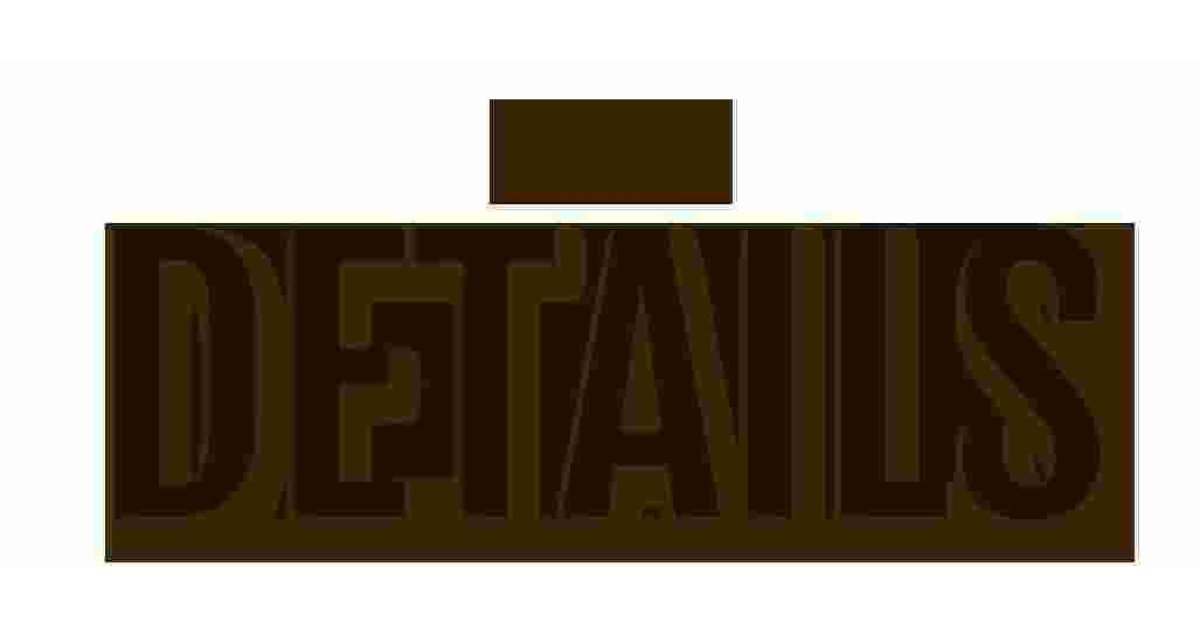 Details Meaning and Definition