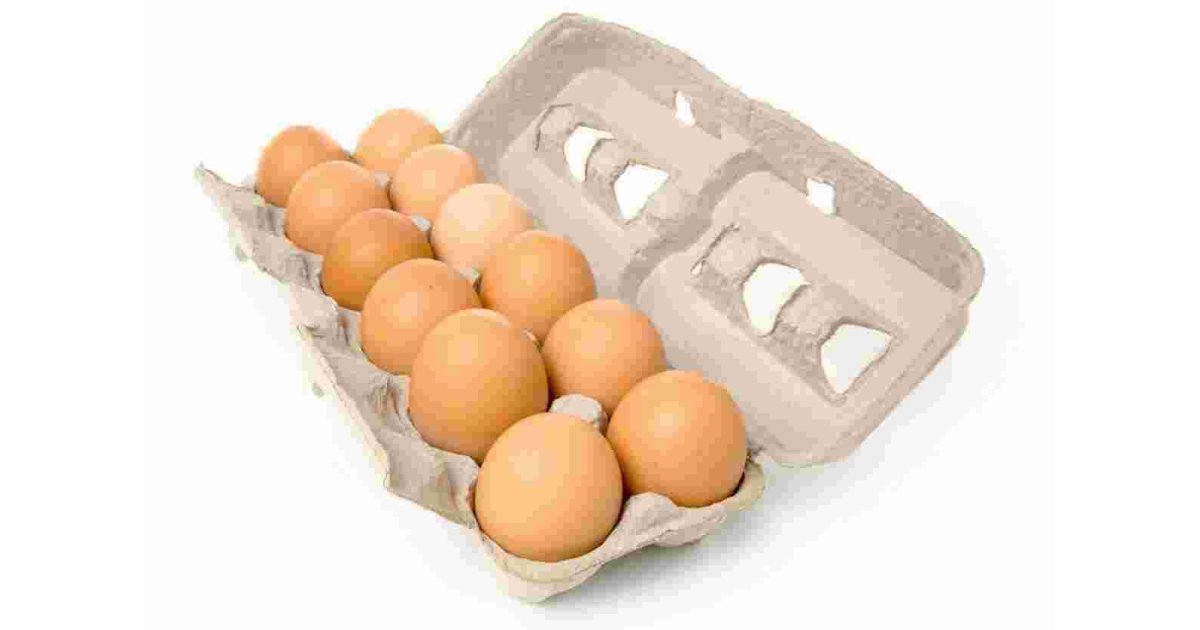 Dozen Meaning and Definition